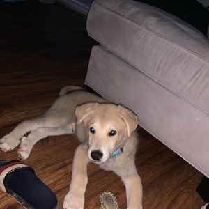 Meet your Posher, Leticia